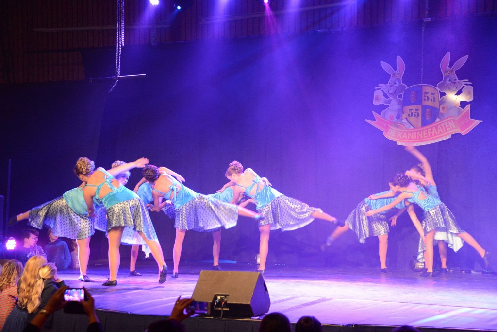 ../Images/Dansmarieke festival 2015 519.jpg